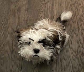 【keawave】| PikoLive - 遊戲、電視、節目線上看